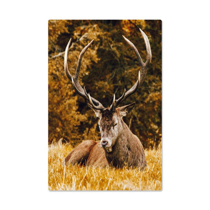 Deer and Autumn Forest Metal Print | Wall Art 2024