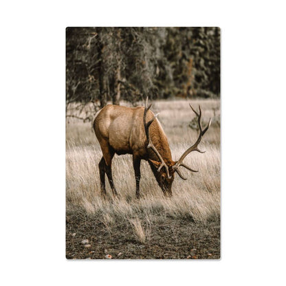 A Grazing Deer on Metal Print | Fall Wall Art 2024