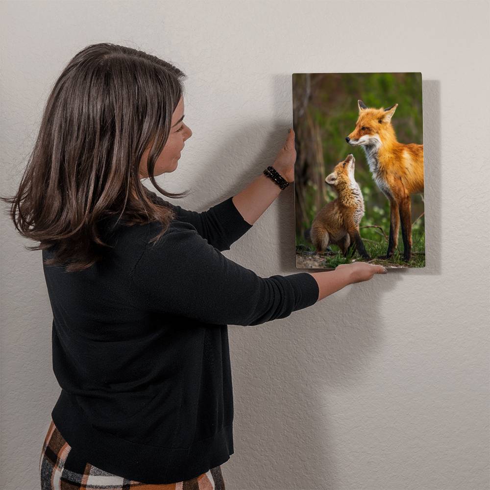 Mother and Baby Fox Metal Print | Wall Art 2024