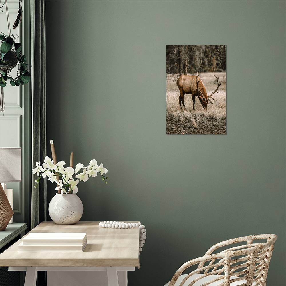 A Grazing Deer on Metal Print | Fall Wall Art 2024