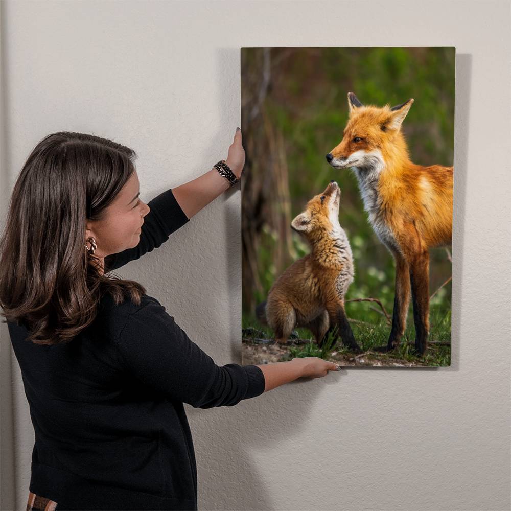 Mother and Baby Fox Metal Print | Wall Art 2024