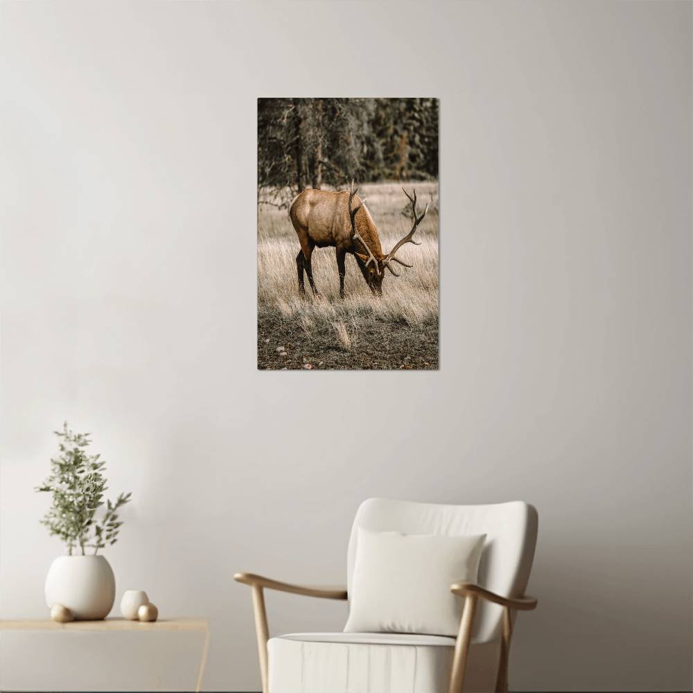 A Grazing Deer on Metal Print | Fall Wall Art 2024