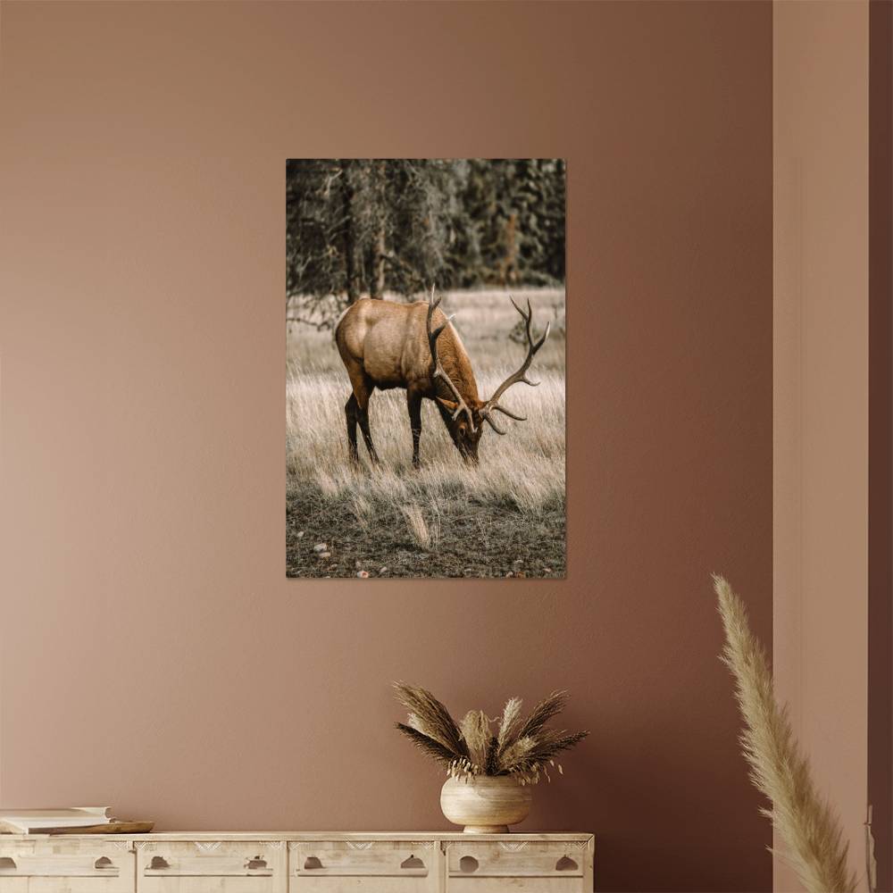 A Grazing Deer on Metal Print | Fall Wall Art 2024