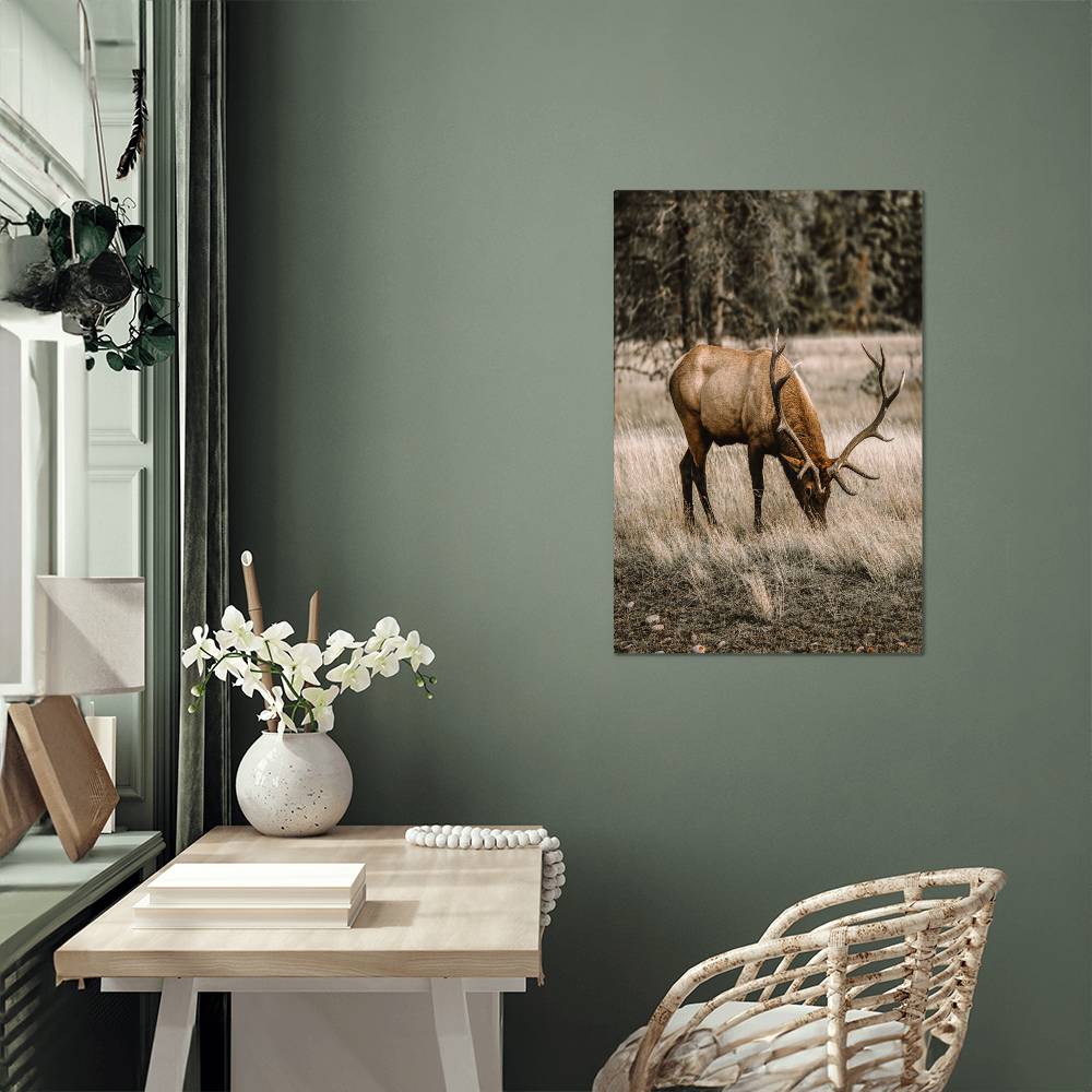 A Grazing Deer on Metal Print | Fall Wall Art 2024