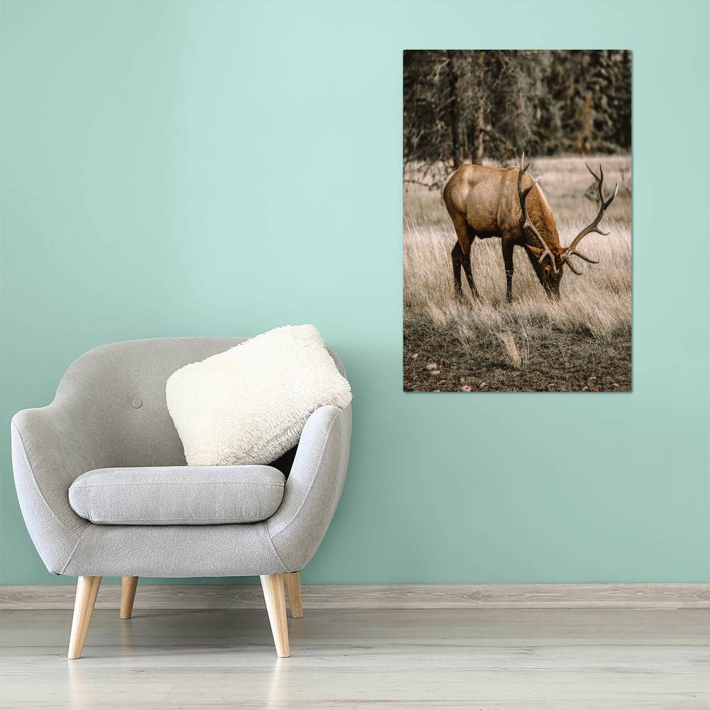 A Grazing Deer on Metal Print | Fall Wall Art 2024