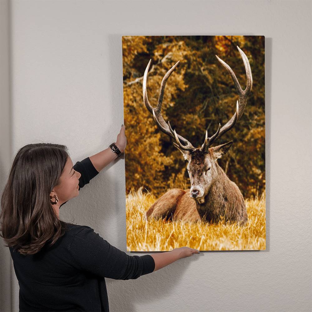 Deer and Autumn Forest Metal Print | Wall Art 2024