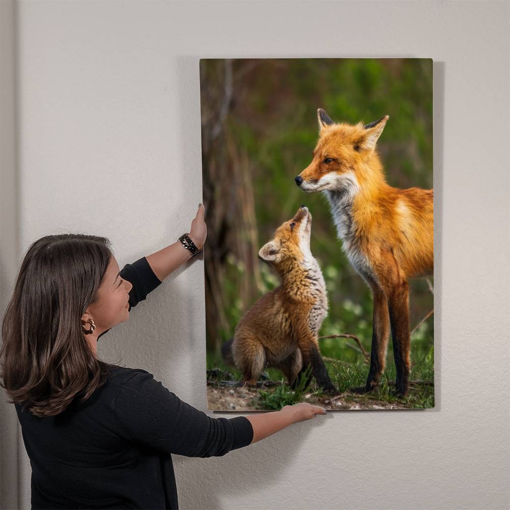 Mother and Baby Fox Metal Print | Wall Art 2024