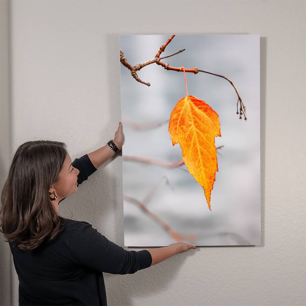 Autumn Leave Close Up on Metal Print | Fall Wall Art 2024