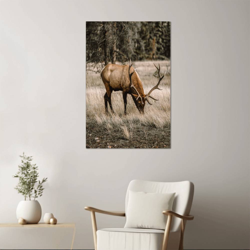 A Grazing Deer on Metal Print | Fall Wall Art 2024