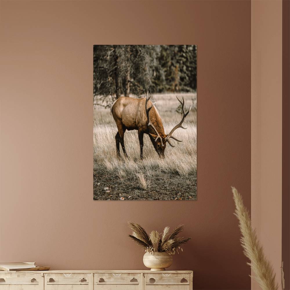 A Grazing Deer on Metal Print | Fall Wall Art 2024