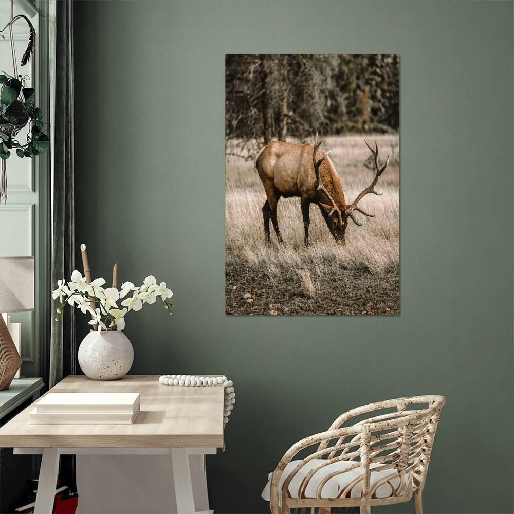 A Grazing Deer on Metal Print | Fall Wall Art 2024