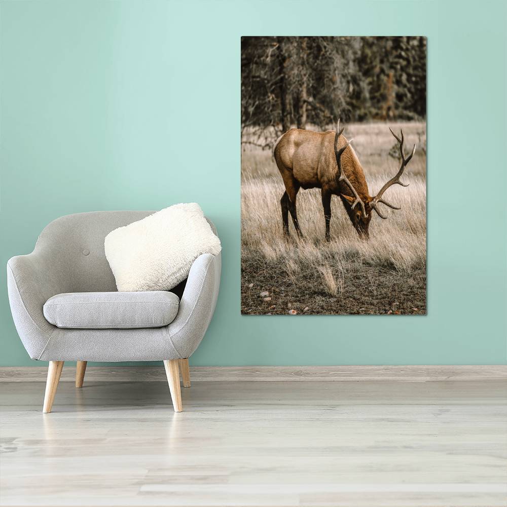 A Grazing Deer on Metal Print | Fall Wall Art 2024