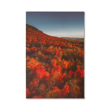 Autumn Forest Printed on Wrapped Canvas | Fall Wall Art 2024