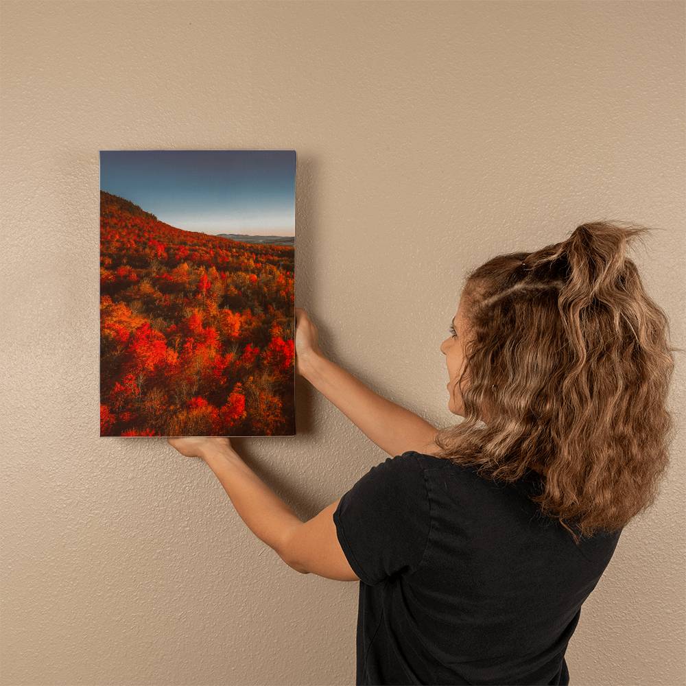 Autumn Forest Printed on Wrapped Canvas | Fall Wall Art 2024