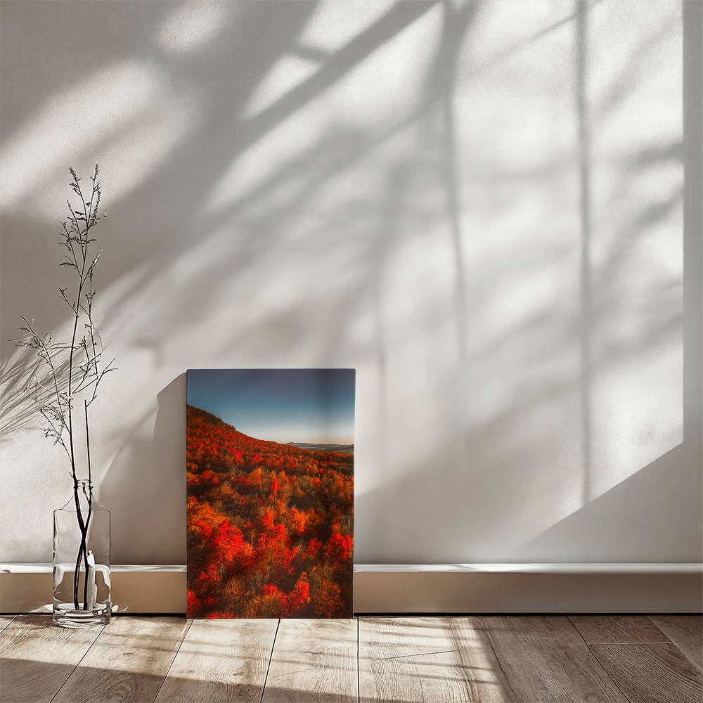 Autumn Forest Printed on Wrapped Canvas | Fall Wall Art 2024