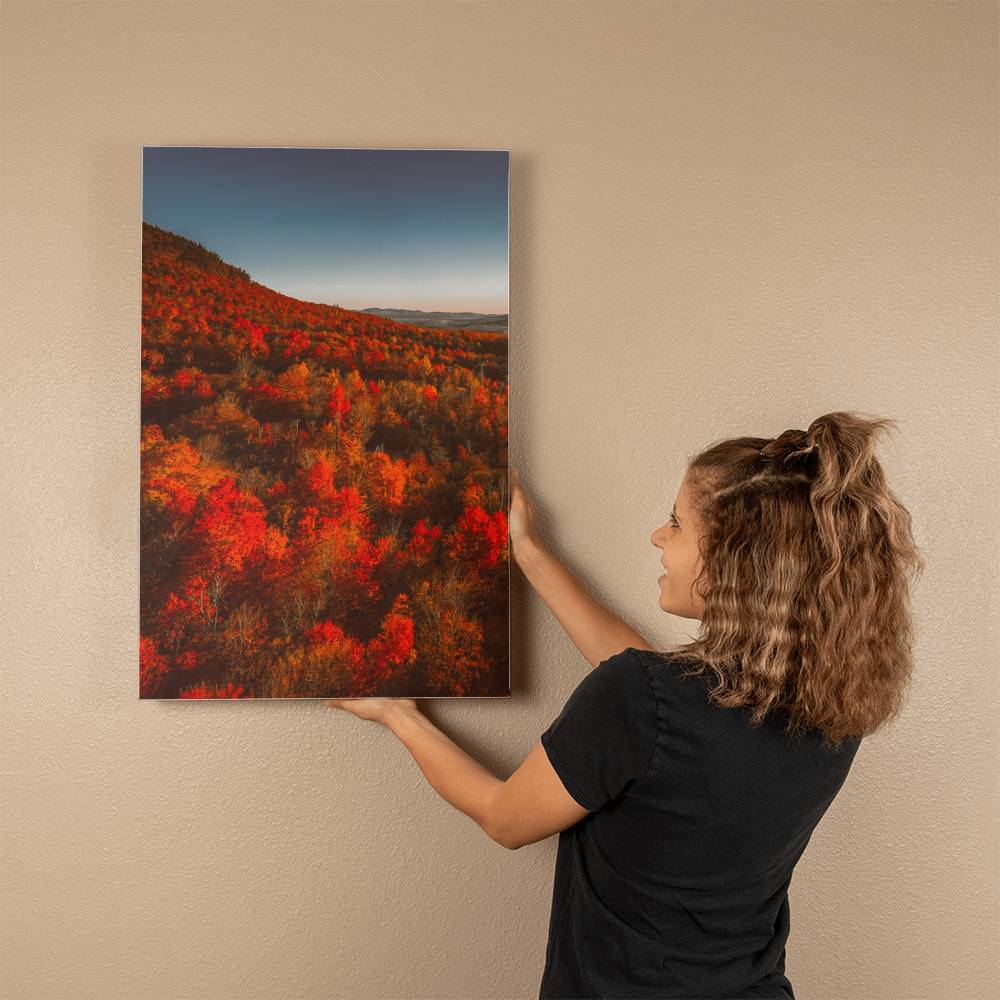 Autumn Forest Printed on Wrapped Canvas | Fall Wall Art 2024