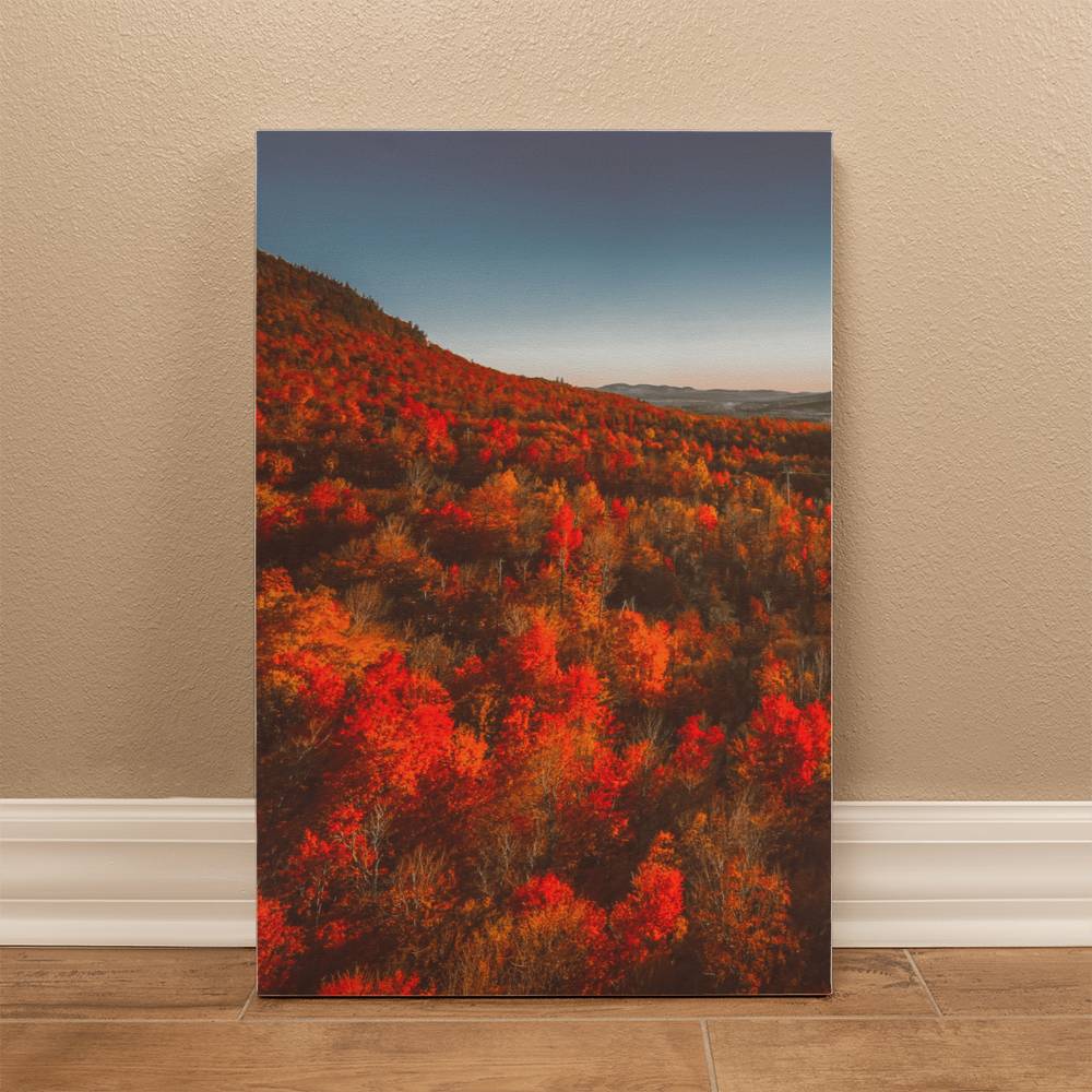 Autumn Forest Printed on Wrapped Canvas | Fall Wall Art 2024