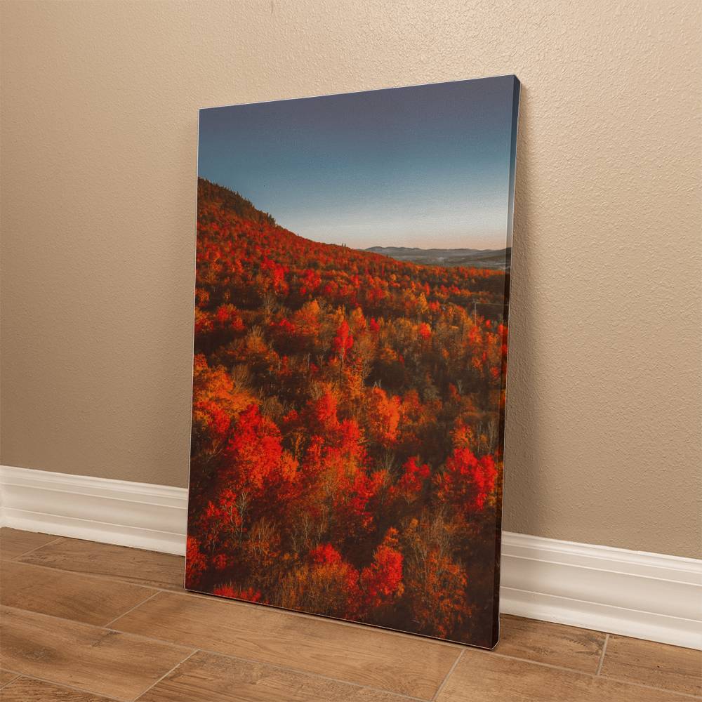 Autumn Forest Printed on Wrapped Canvas | Fall Wall Art 2024