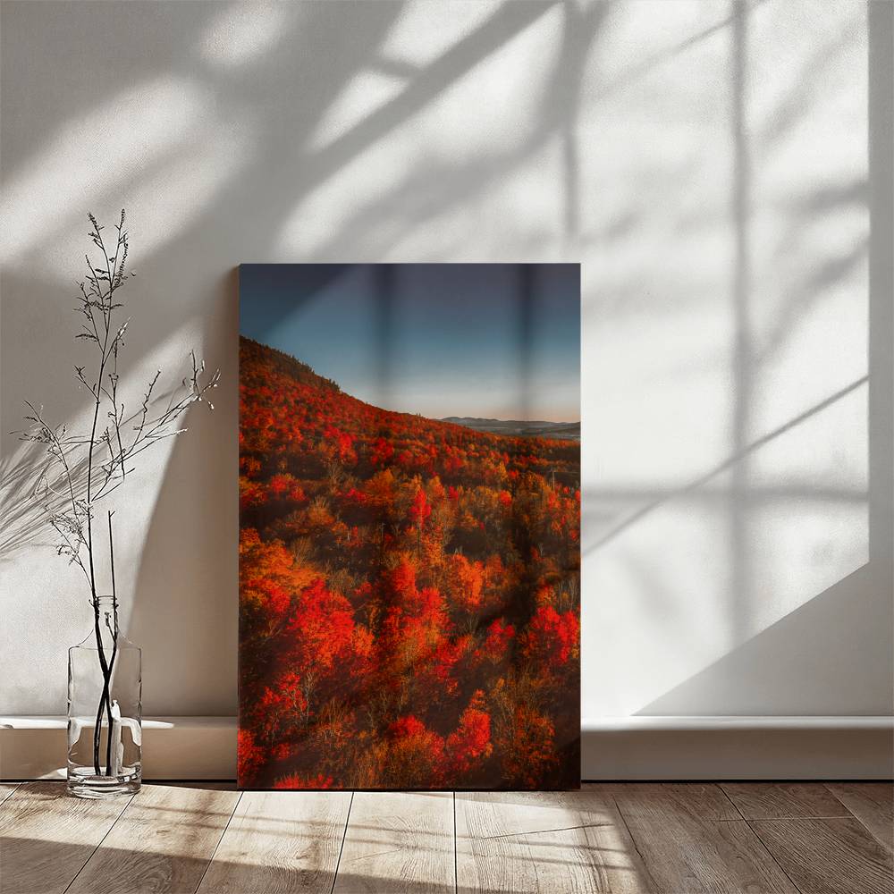 Autumn Forest Printed on Wrapped Canvas | Fall Wall Art 2024