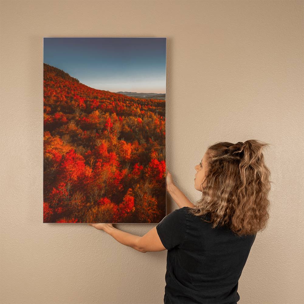 Autumn Forest Printed on Wrapped Canvas | Fall Wall Art 2024