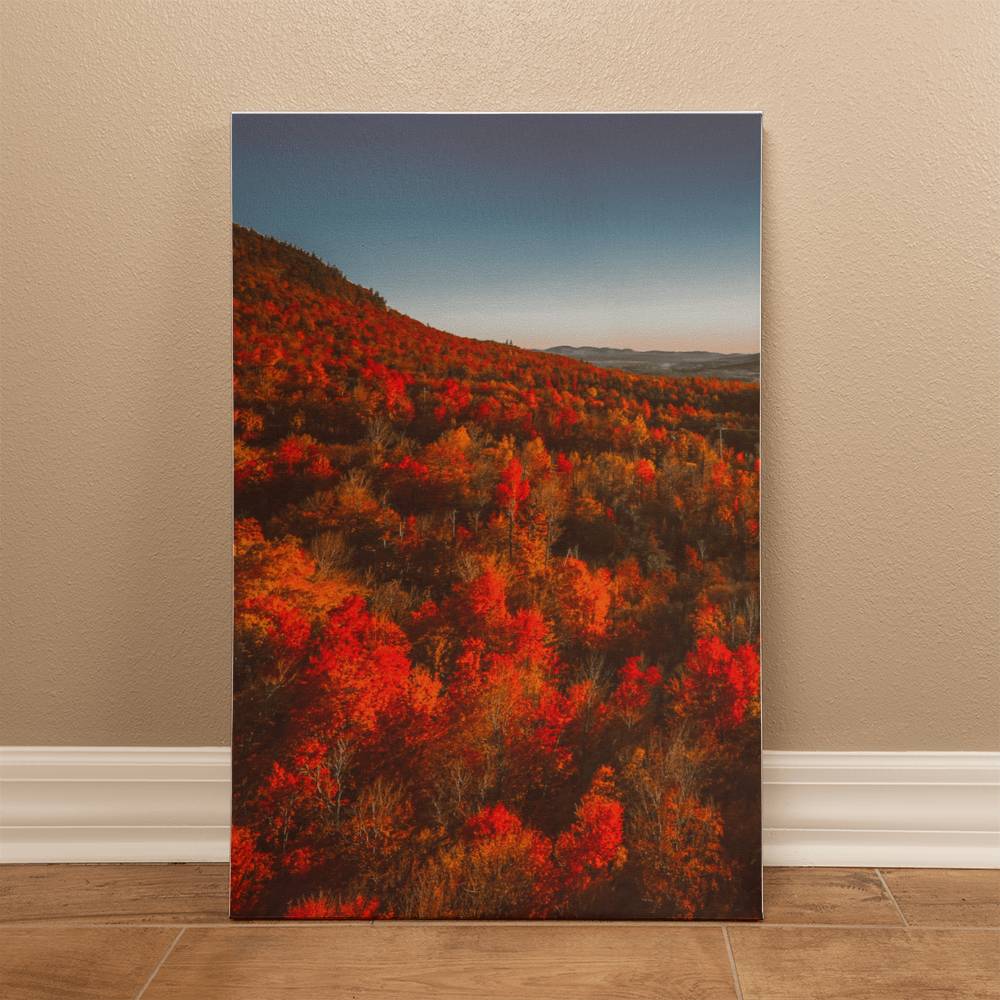 Autumn Forest Printed on Wrapped Canvas | Fall Wall Art 2024