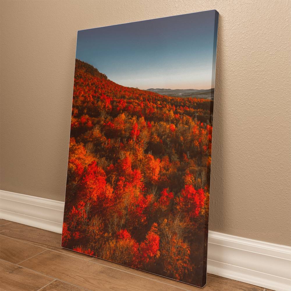 Autumn Forest Printed on Wrapped Canvas | Fall Wall Art 2024