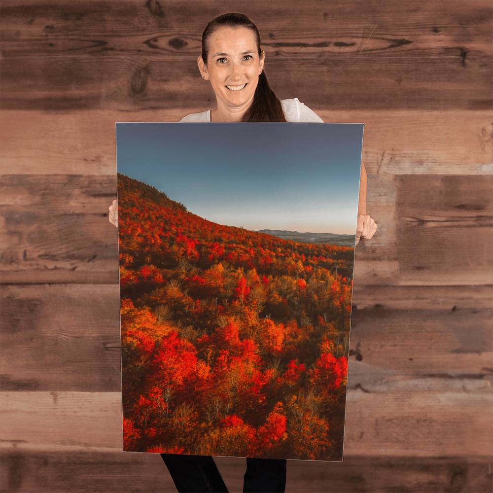 Autumn Forest Printed on Wrapped Canvas | Fall Wall Art 2024