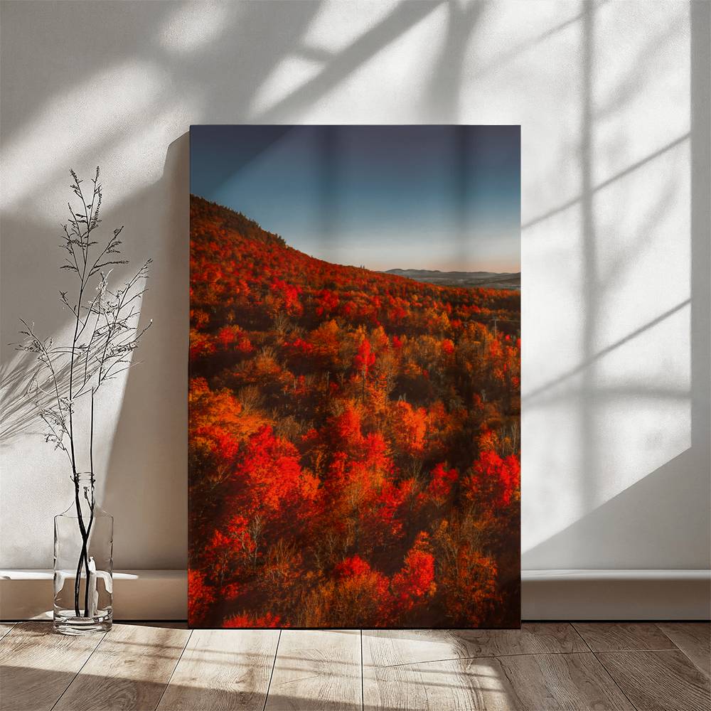 Autumn Forest Printed on Wrapped Canvas | Fall Wall Art 2024