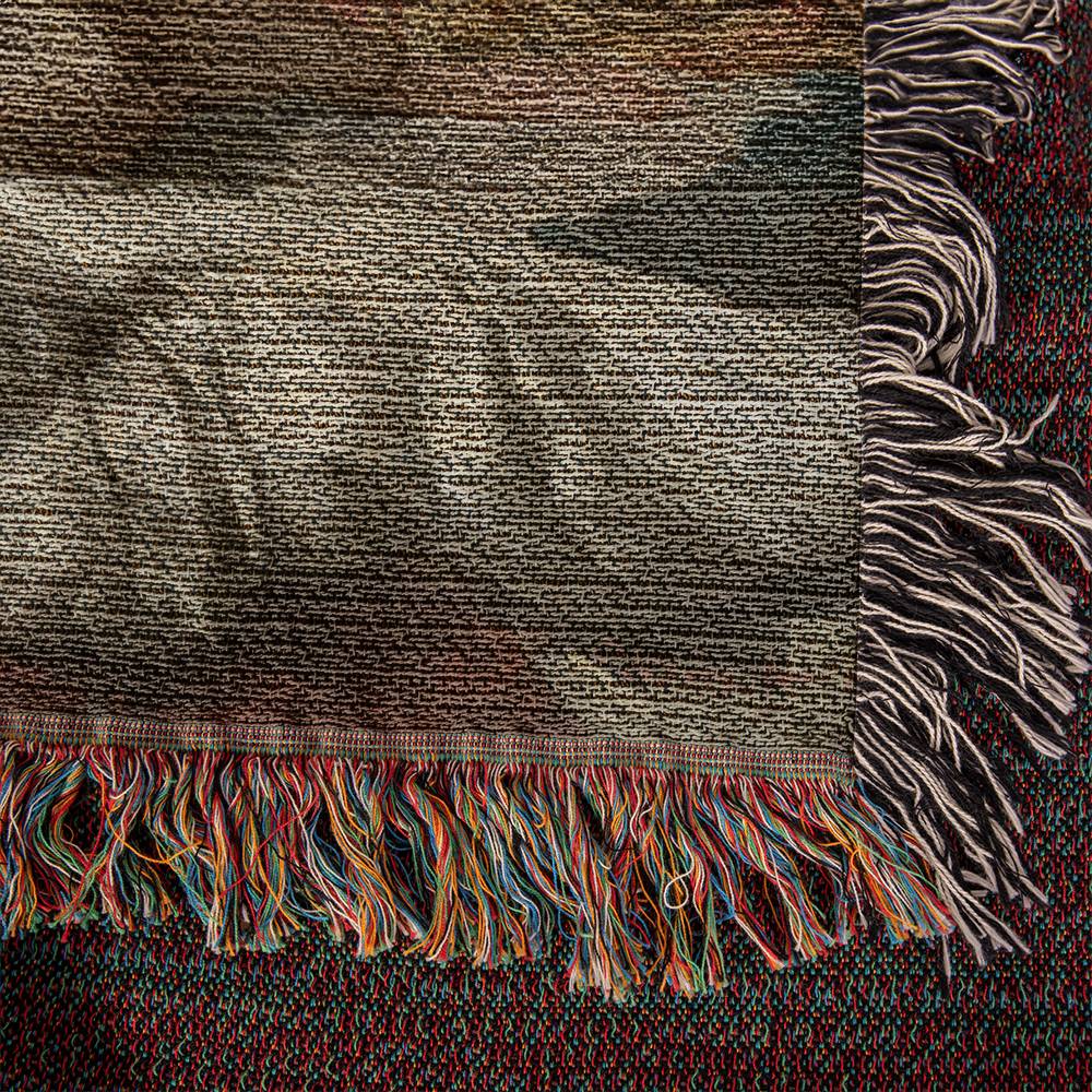 Odalisque by Mariano Fortuny on Heirloom Tapestry